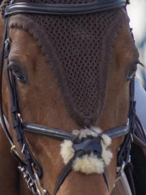 Mexická uzdečka Cob