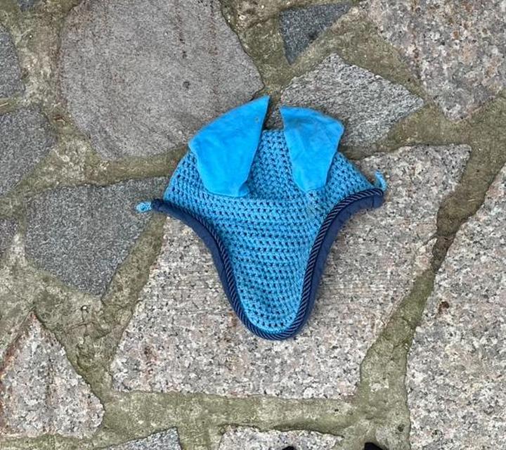 modrá čabraka