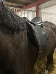 Skokové sedlo Hermeso