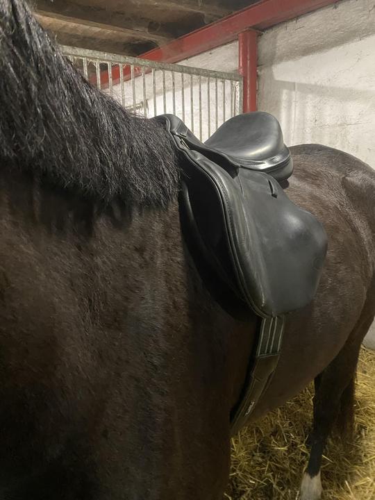 Skokové sedlo Hermeso