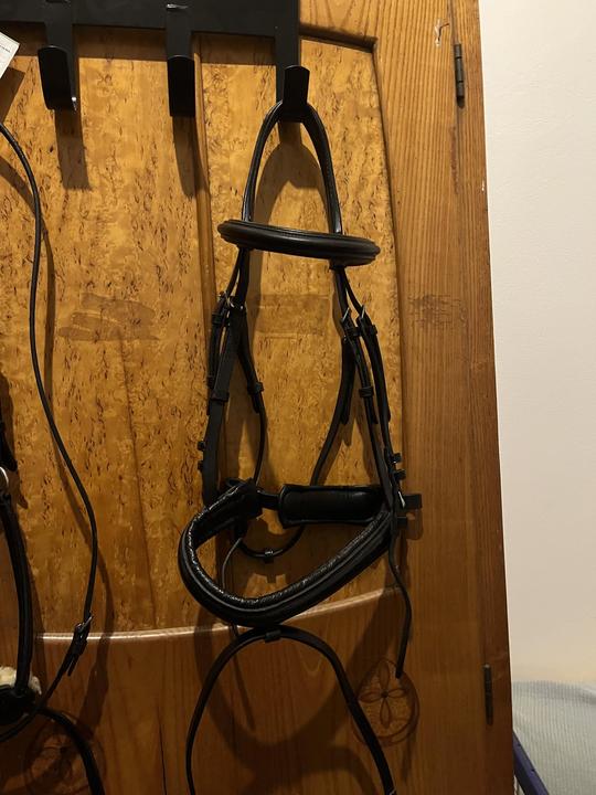 Uzdečka Kentaur se švédským nánosníkem