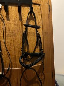 Uzdečka Kentaur se švédským nánosníkem