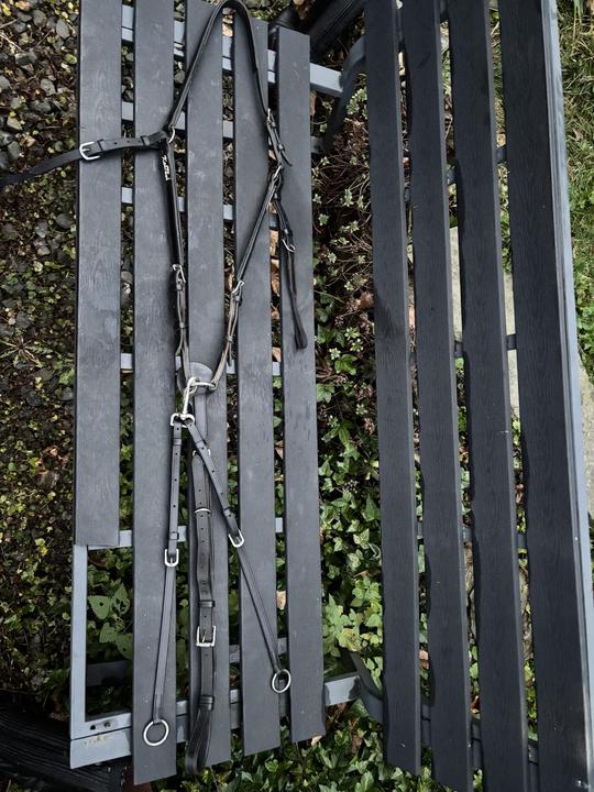 Poprsník KenTaur Mons