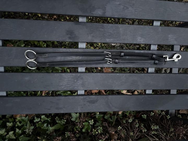 Poprsník KenTaur Mons