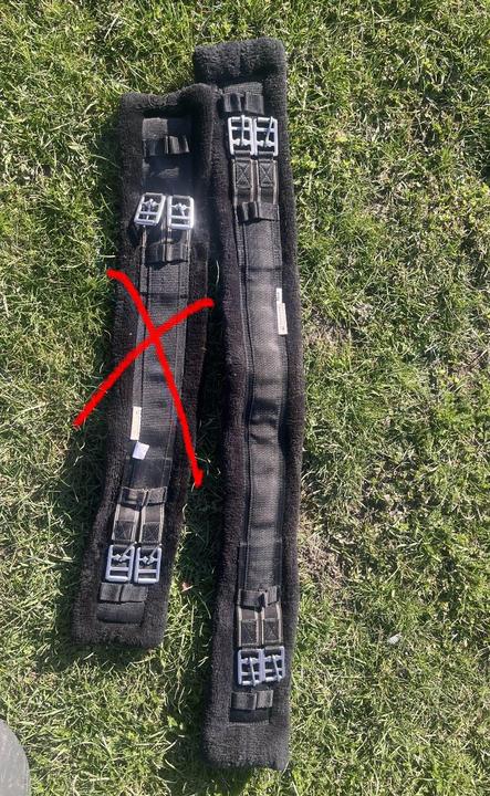 Podbřišník s beránkem