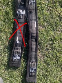 Podbřišník s beránkem