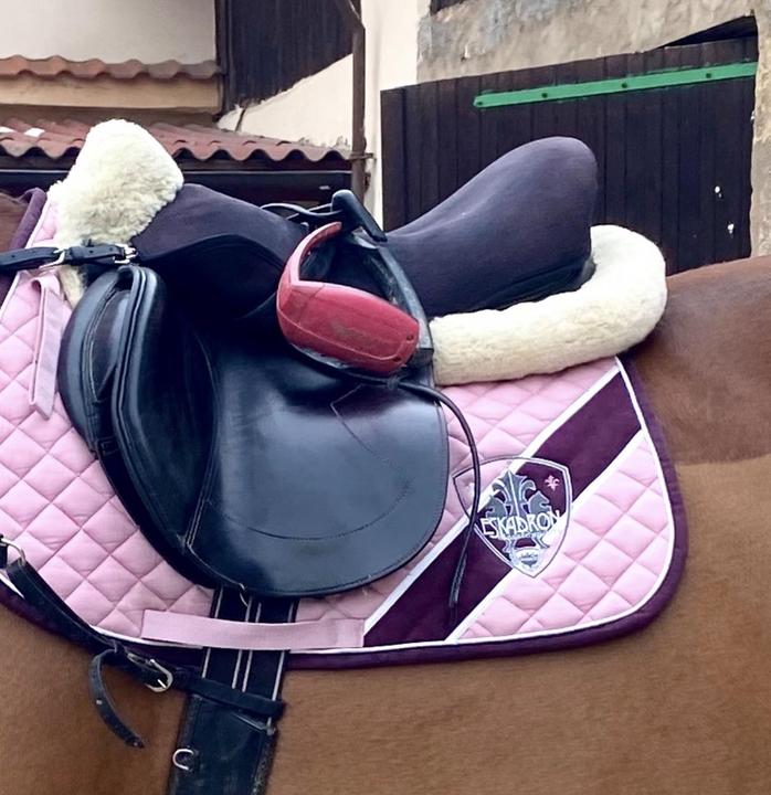 Lammfelle Christ Horse Dream beránek pod sedlo