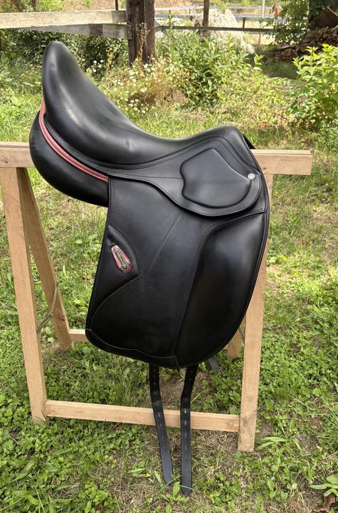 Amerigo drezurní sedlo