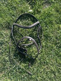 Kožená uzdečka Derby