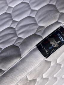 Equiline bílo hnědá podsedlovka
