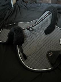 Premier Equine