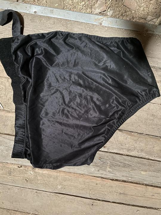 Vesta na koně