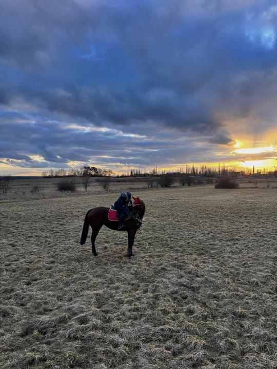 Podsedlová deka Eskadron