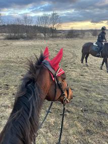 Podsedlová deka Eskadron