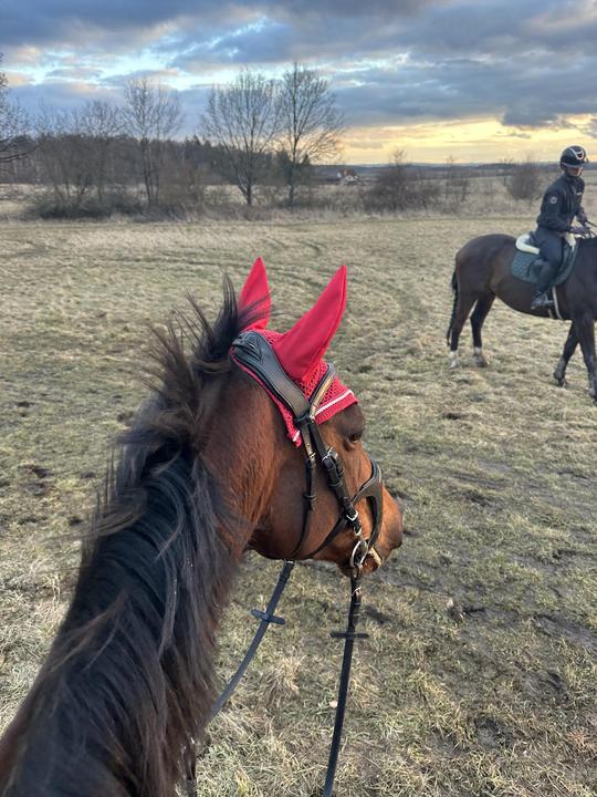 Podsedlová deka Eskadron