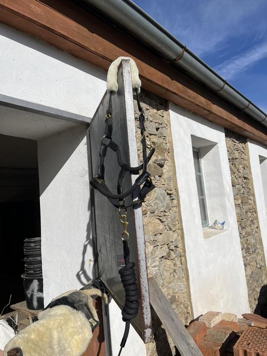 Ohlávka s umělým beránkem + vodítko