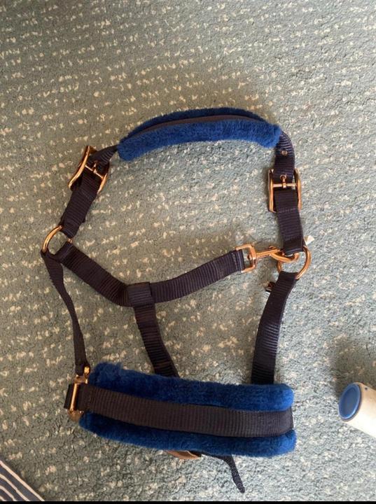 HKM pony ohlávka