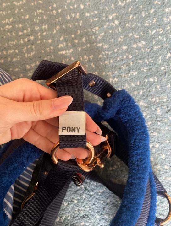 HKM pony ohlávka