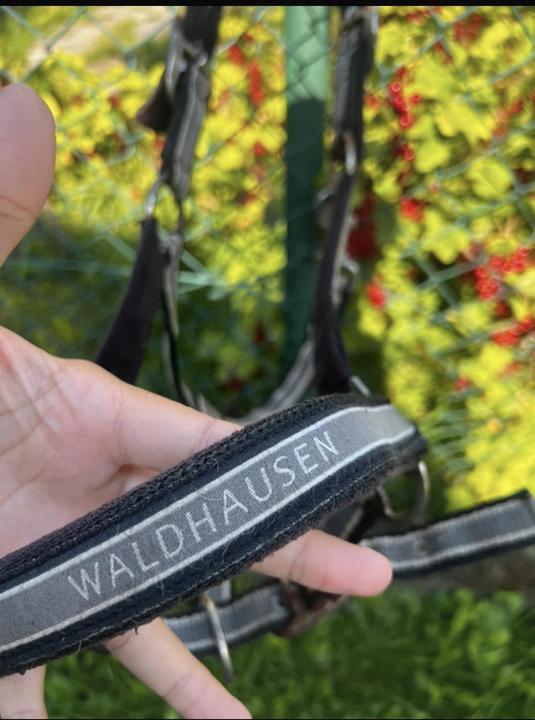 Waldhausen COB ohlávka