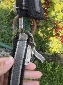 Waldhausen COB ohlávka