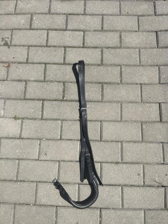 Podocasnik horze
