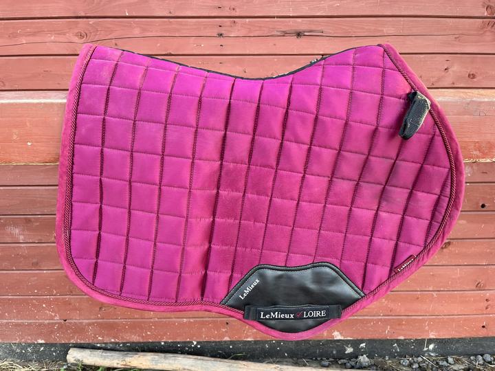 LeMieux  podsedlovka