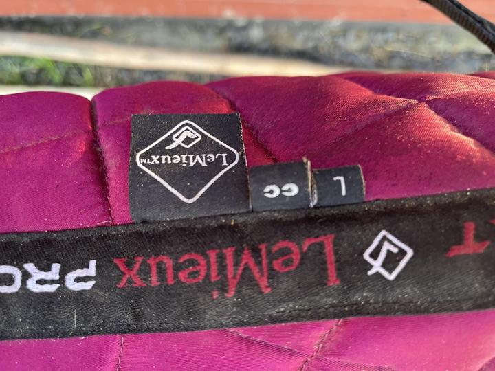 LeMieux  podsedlovka