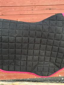 LeMieux  podsedlovka