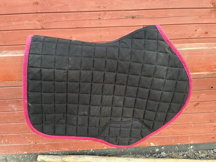 LeMieux  podsedlovka