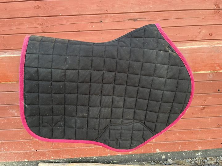 LeMieux  podsedlovka