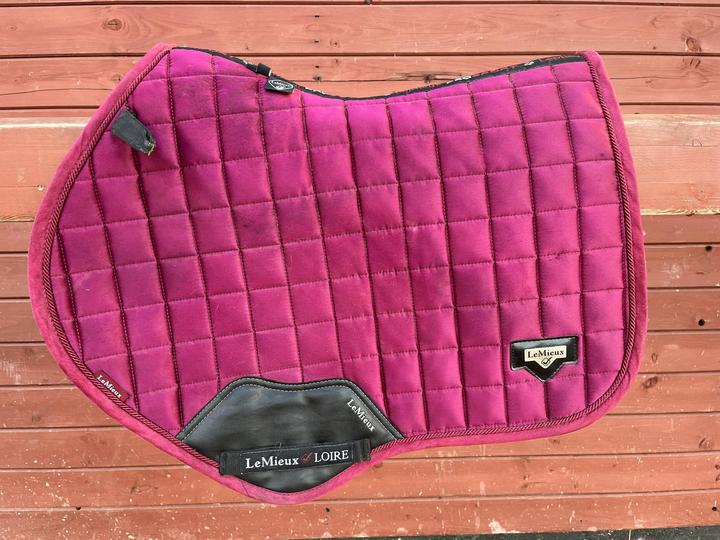 LeMieux  podsedlovka