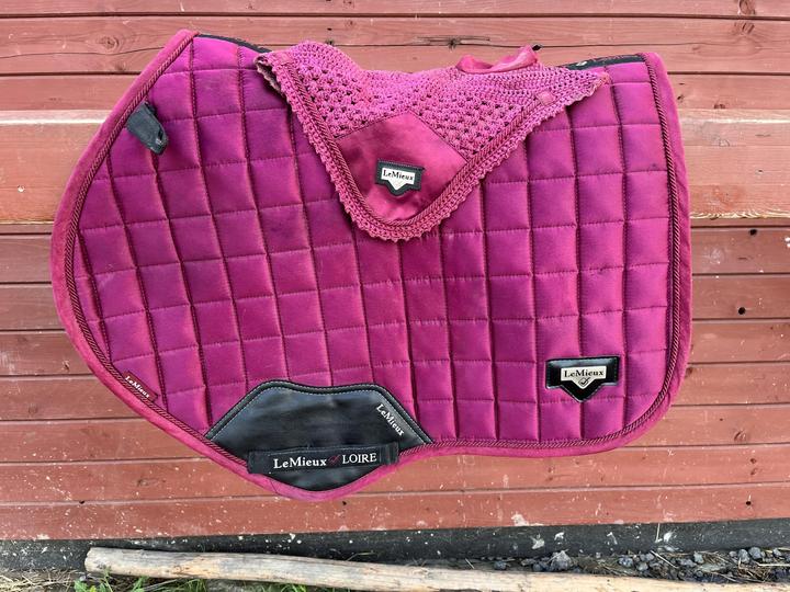 LeMieux  podsedlovka