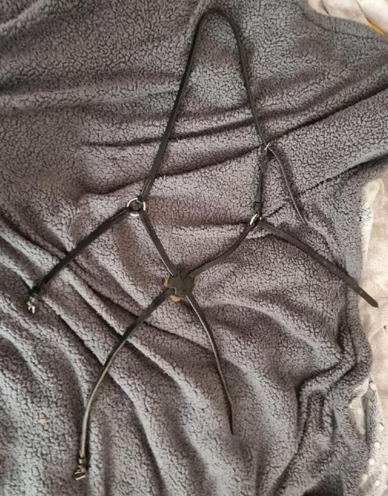 Mexický nánosník