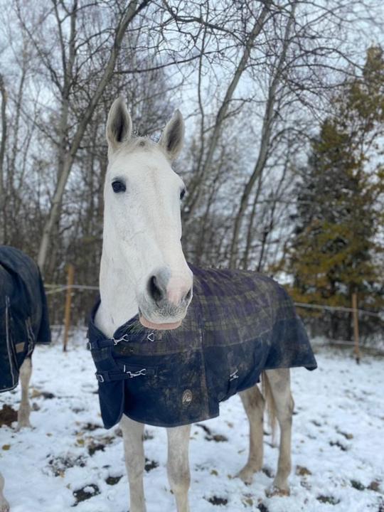 zimní deka s vyšším krkem