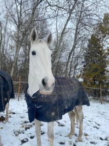 zimní deka s vyšším krkem