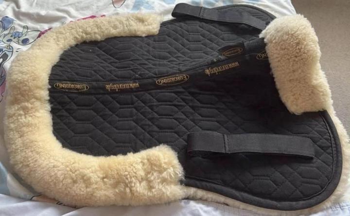 Pravý euroriding beránek