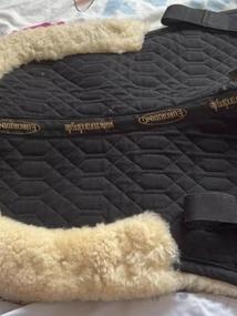 Pravý euroriding beránek