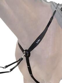 Poprsak pony kentaur