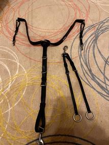 Poprsak pony kentaur