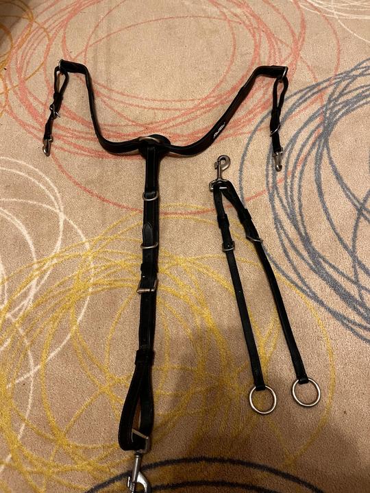 Poprsak pony kentaur