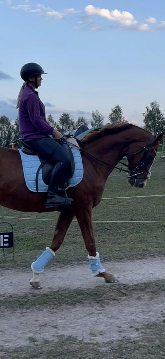 Eskadron dečka a chrániče