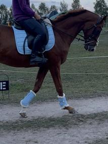 Eskadron dečka a chrániče