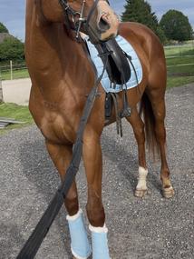 Eskadron dečka a chrániče