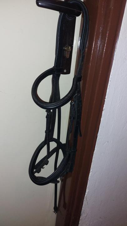 Prestige uzdečka cob pracovní