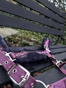 Fouganza ohlávka + vodítko s beránkem