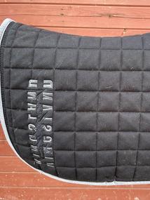 Kingsland podsedlovka