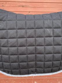 Kingsland podsedlovka