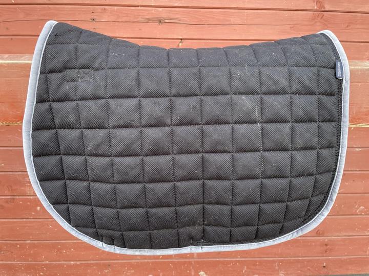 Kingsland podsedlovka