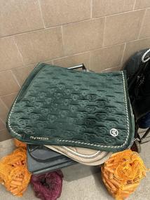 Podsedlovka PS of Sweden