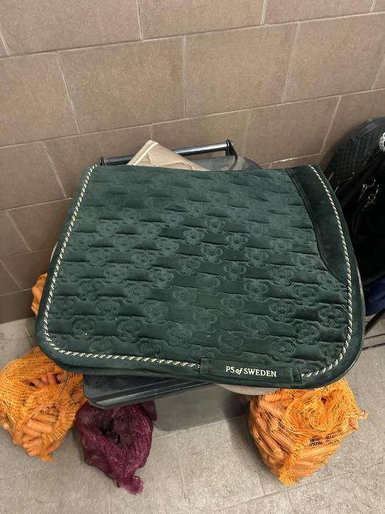 Podsedlovka PS of Sweden